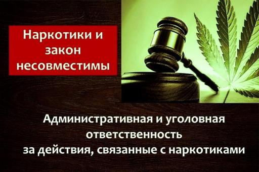 Информация о видах ответственности за совершение преступлений и правонарушений в сфере незаконного оборота наркотических средств
