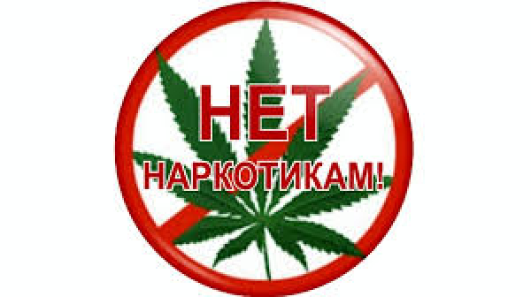 ПАМЯТКА ОБ ОТВЕТСТВЕННОСТИ ЗА НЕЗАКОННОЕ КУЛЬТИВИРОВАНИЕ НАРКОСОДЕРЖАЩИХ РАСТЕНИЙ
